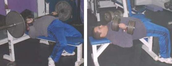 Barbell Bench Press & Dumbbell Bench Press