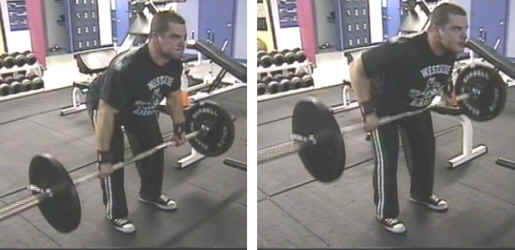 Bent Over Barbell Row Picture