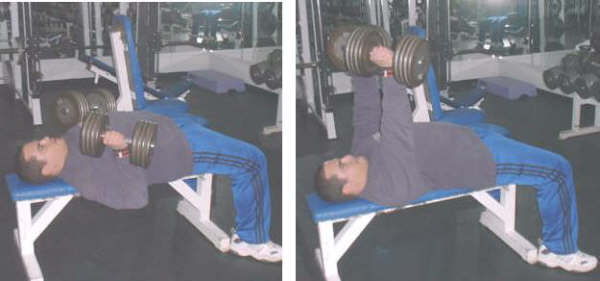 dumbbell bench press picture