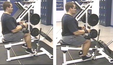 seated calf raise machine