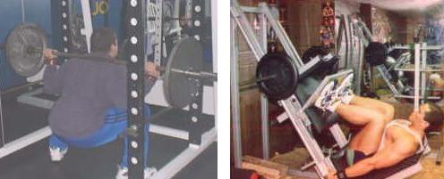 Squats & Leg Press